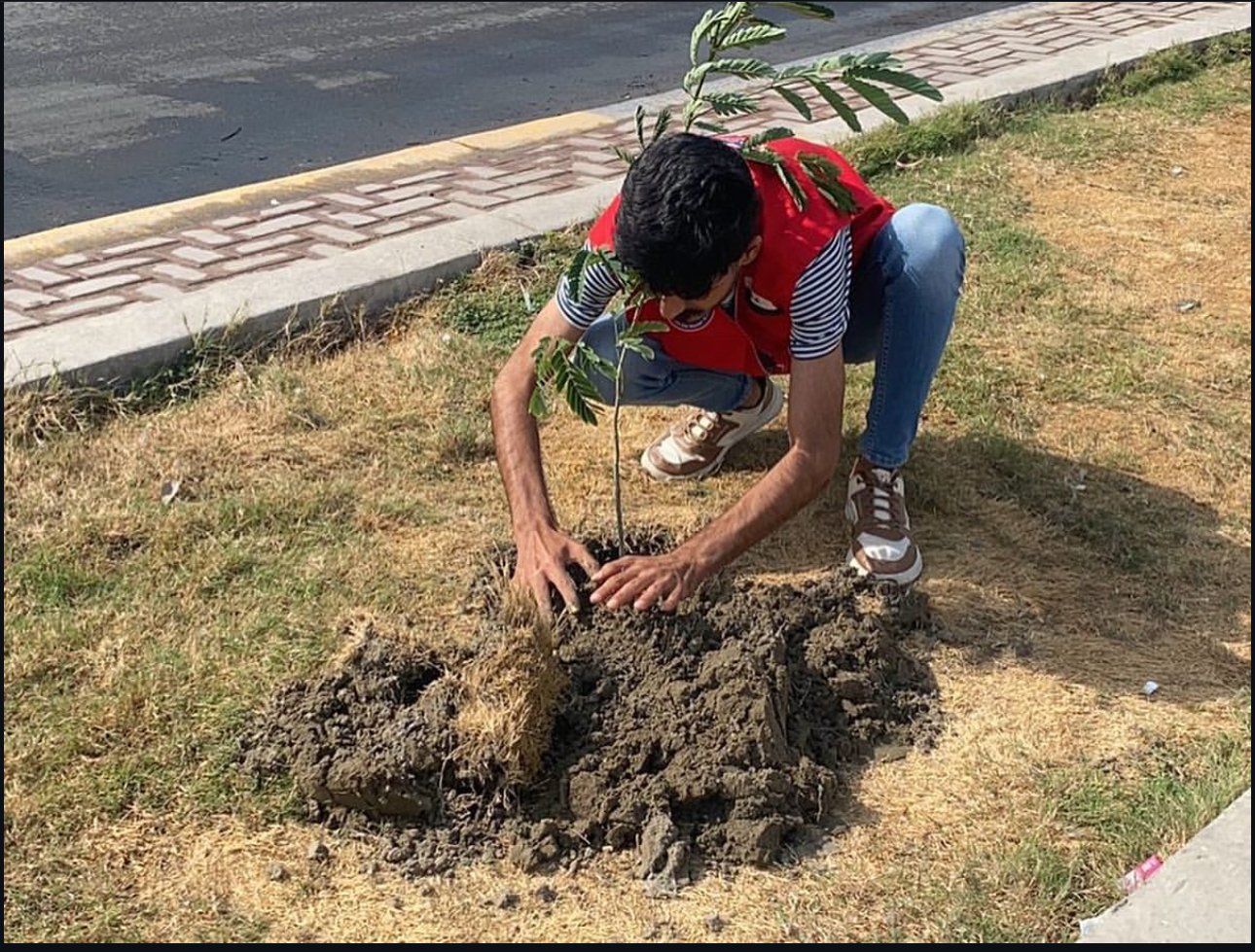 القسم الخدمي